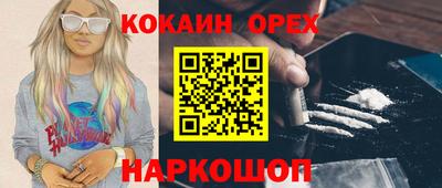 крисы Новозыбков