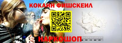 крисы Новозыбков