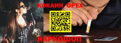 крисы Новозыбков