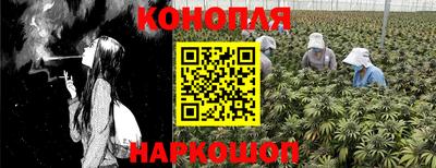 крисы Новозыбков