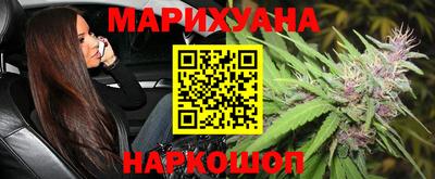 крисы Новозыбков