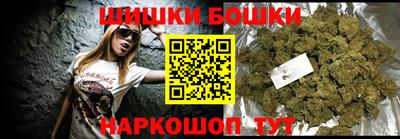 крисы Новозыбков