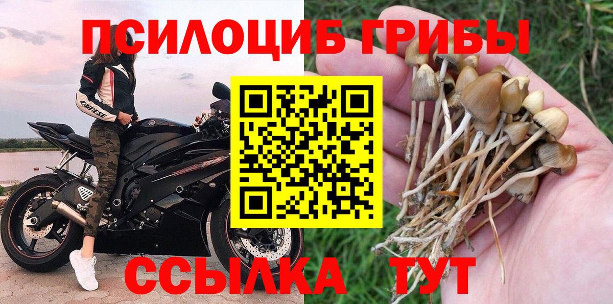 Псилоцибиновые грибы Magic Shrooms  Псилоцибиновые грибы Cubensis  Вход с VPN  Унеча 